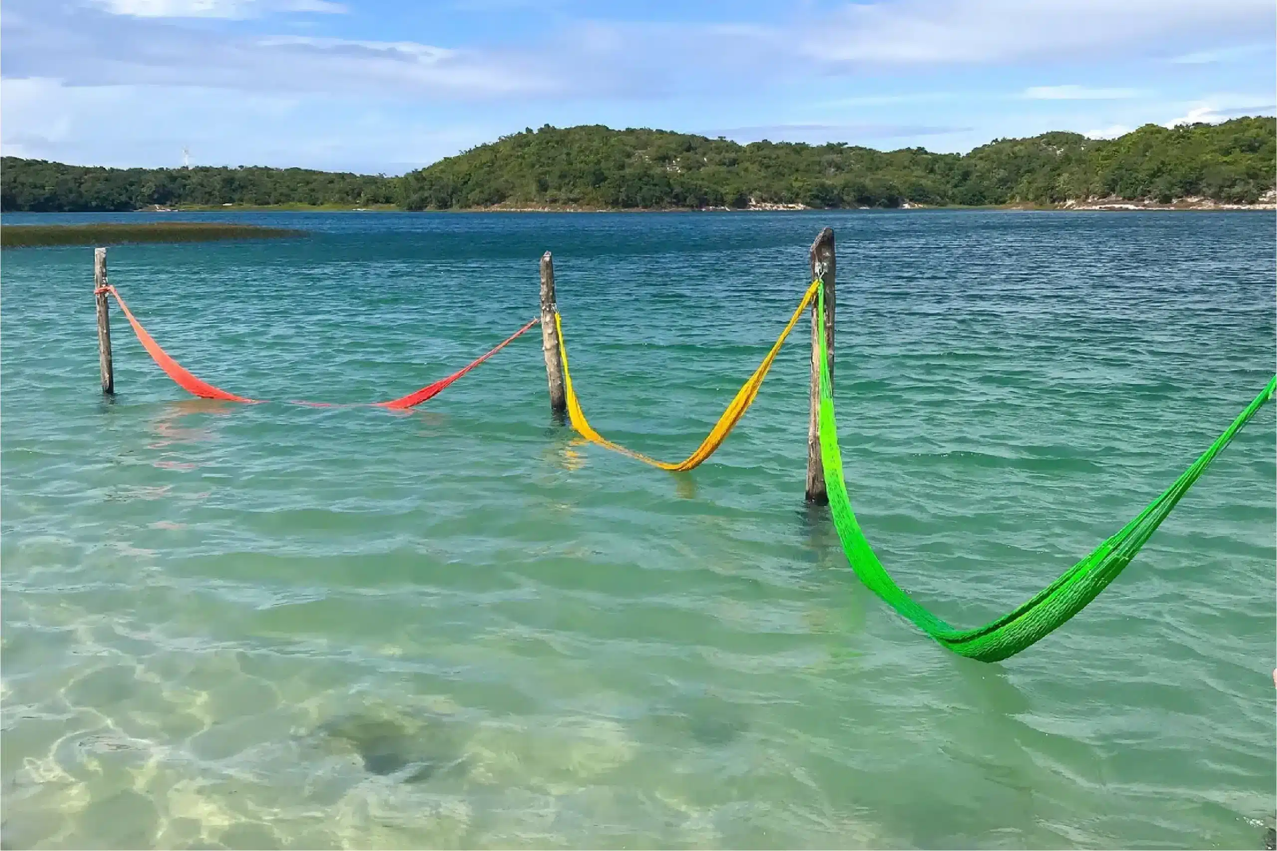 Lagoa de Alcaçuz - Lagoas de Natal - Joilson Garcia