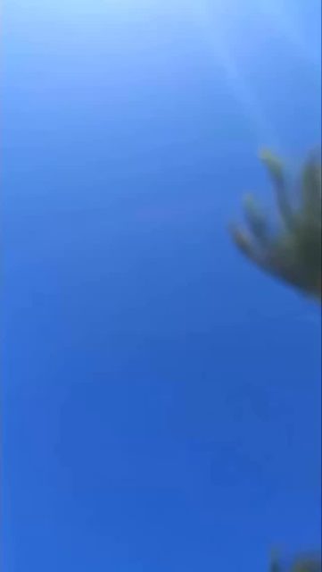 🎉 Diversão garantida todos os dias com os nossos queridos Tios da Recreação! 👏✨

Pode relaxar,  temos brincadeira, oficina, jogos e muuuita animação espalhada por todo o hotel! 💥

Aqui, cada momento vira uma lembrança inesquecível. 💛