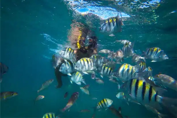 Maracajaú - As melhores praias de Natal - Hoteis em Natal - Giovanni Sergio